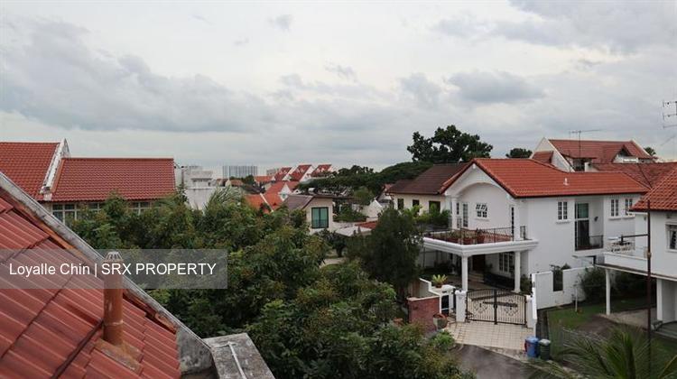 SUPER WORTH! Cheapest PSF tenanted FH Shophouse in the East (D15), Shop House #217651171